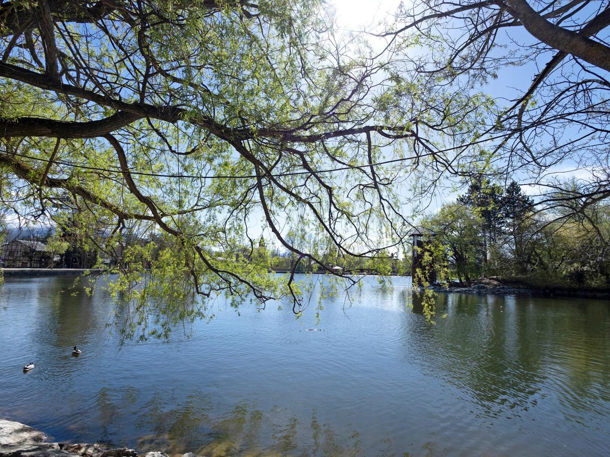 Alfons I Διαμέρισμα Puigcerdà Εξωτερικό φωτογραφία